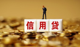 深圳14哪有个人借贷-深圳14小额贷款公司-深圳14私借空放免费上门